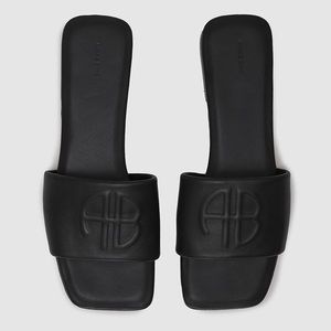 NWOT Anine Bing Ria Slides With Dust Bag